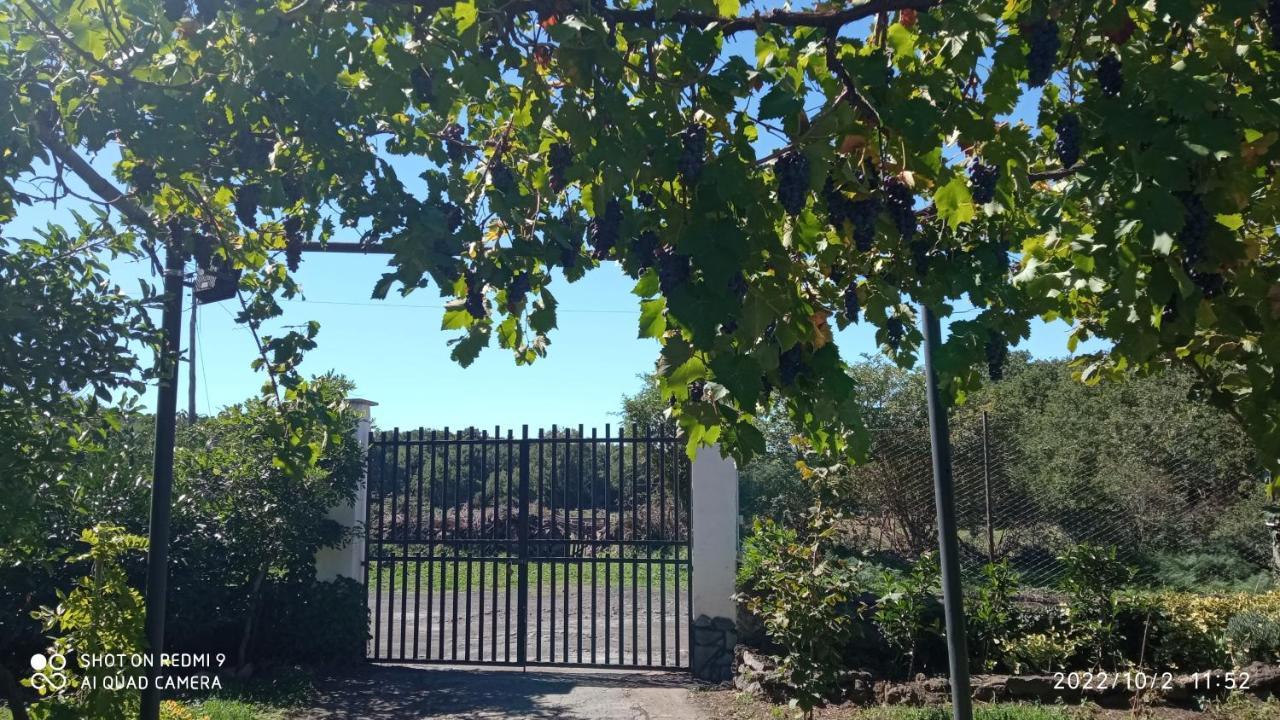 Etna, Salvia E Rosmarino Villa Maletto Eksteriør bilde