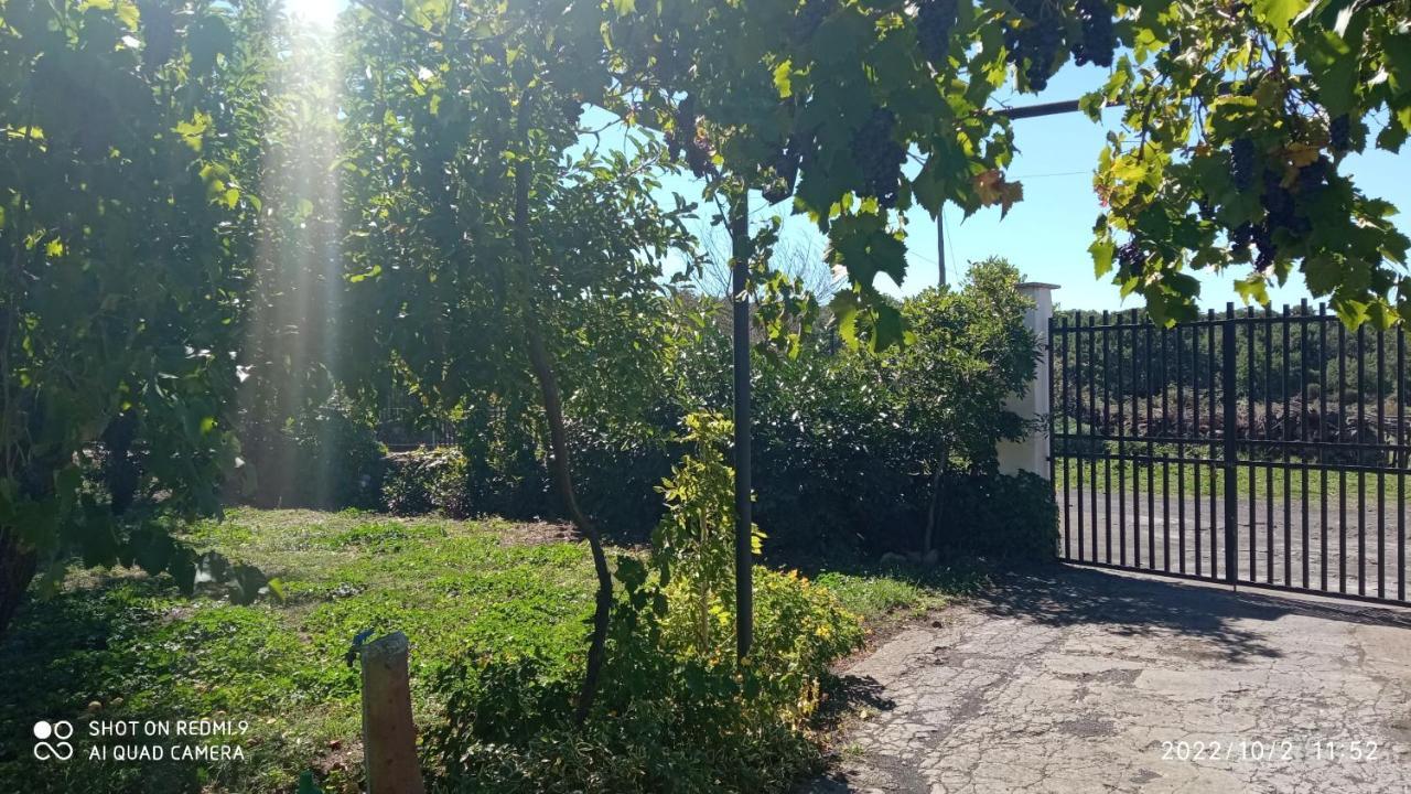 Etna, Salvia E Rosmarino Villa Maletto Eksteriør bilde