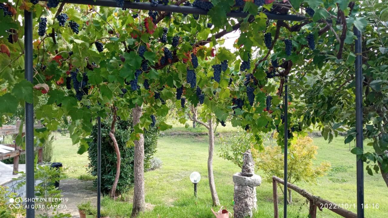 Etna, Salvia E Rosmarino Villa Maletto Eksteriør bilde