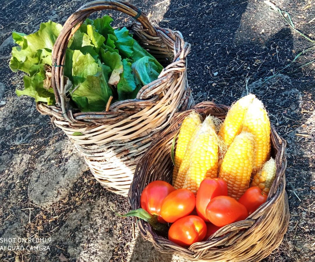 Etna, Salvia E Rosmarino Villa Maletto Eksteriør bilde