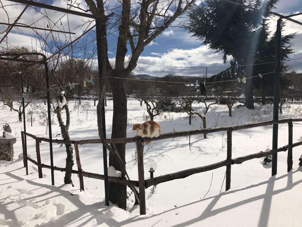 Etna, Salvia E Rosmarino Villa Maletto Eksteriør bilde